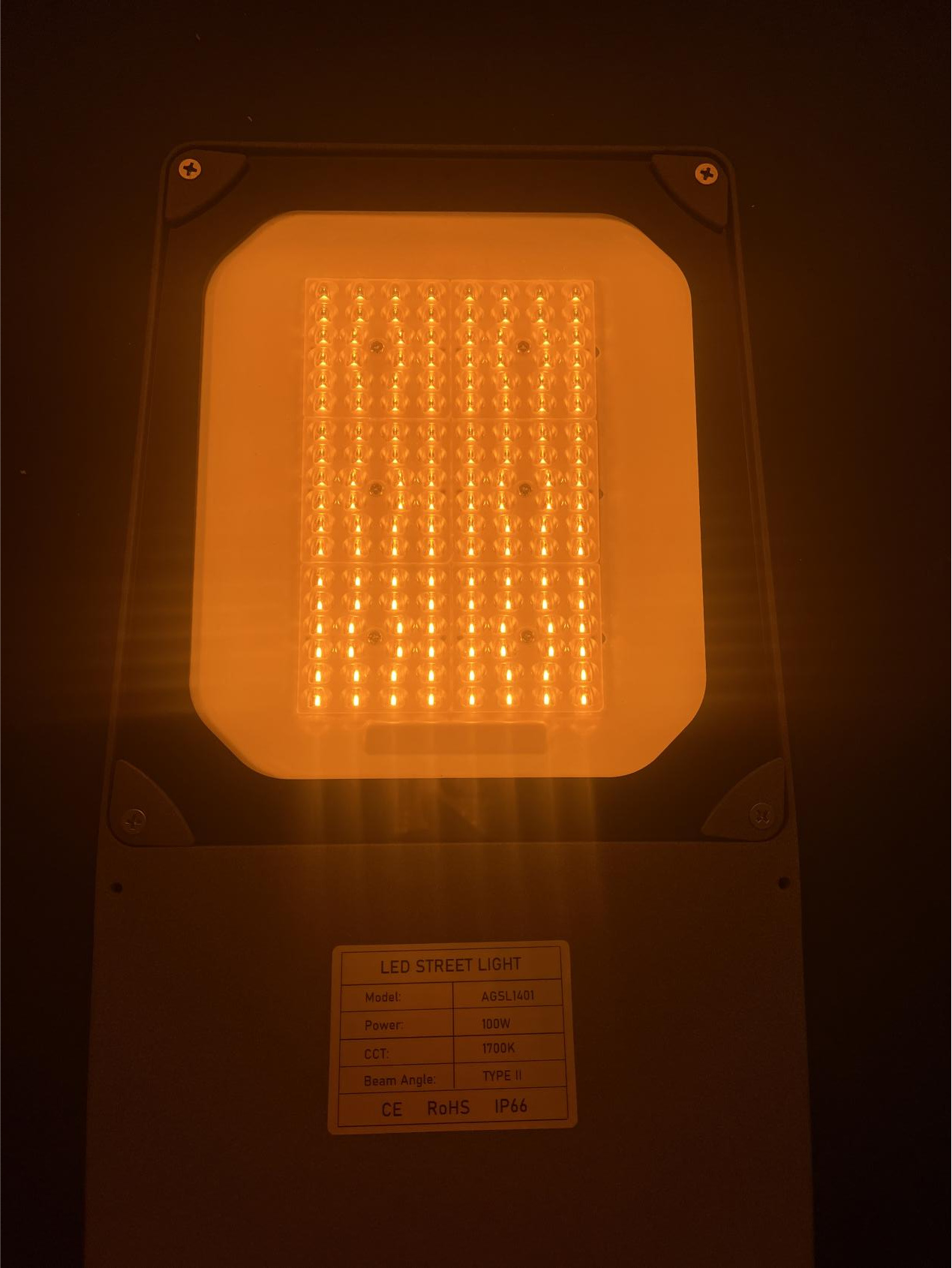 Guarding the Light of Life (3)