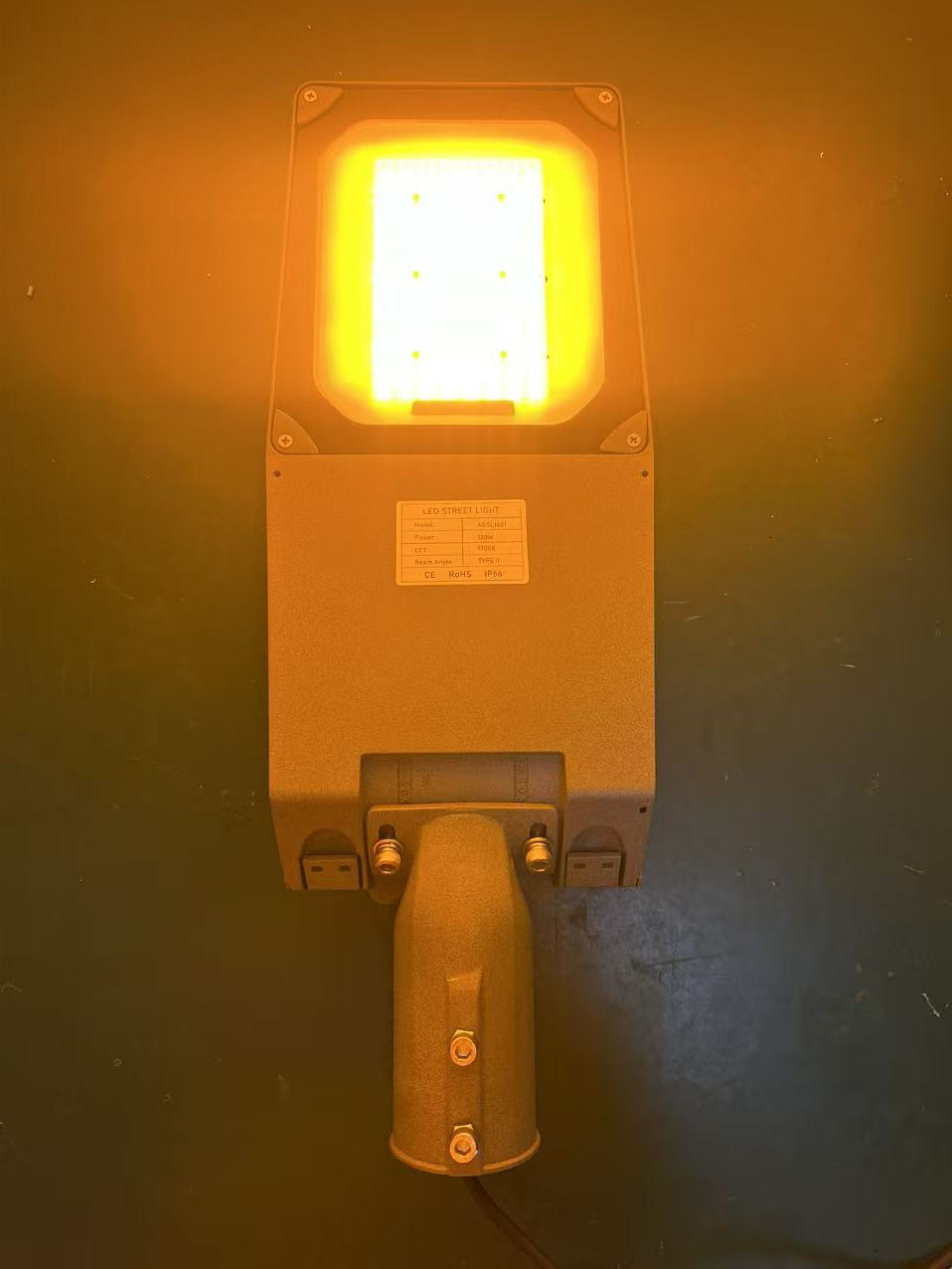 Guarding the Light of Life (4)