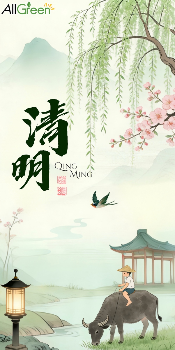 „AllGreen“ skelbia Čingmingo švenčių tvarkaraštį ir verslo perspektyvas balandžio mėnesiui